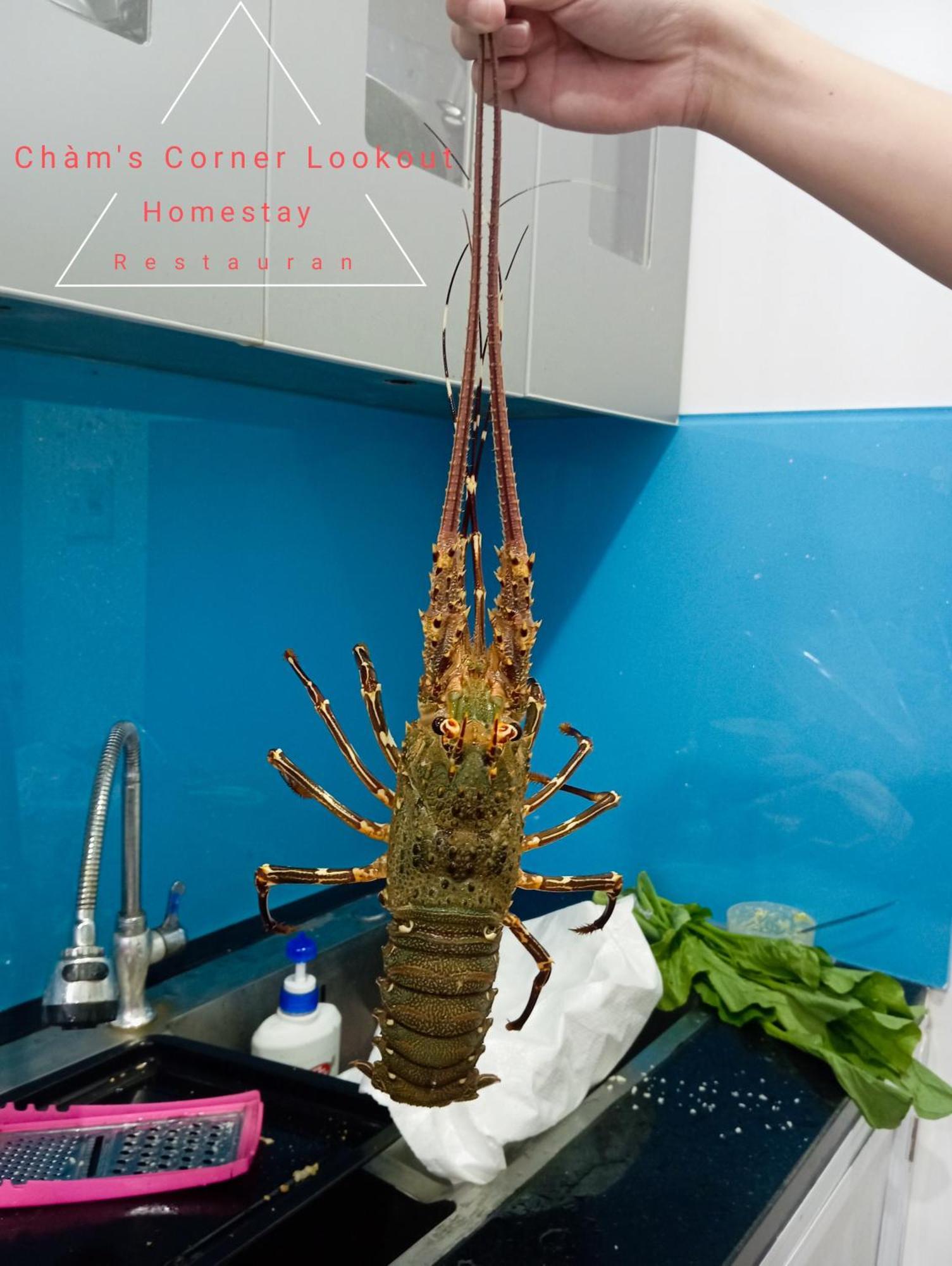 Cham'S Corner Lookout Homestay & Restaurant Tân Hiệ Exteriér fotografie
