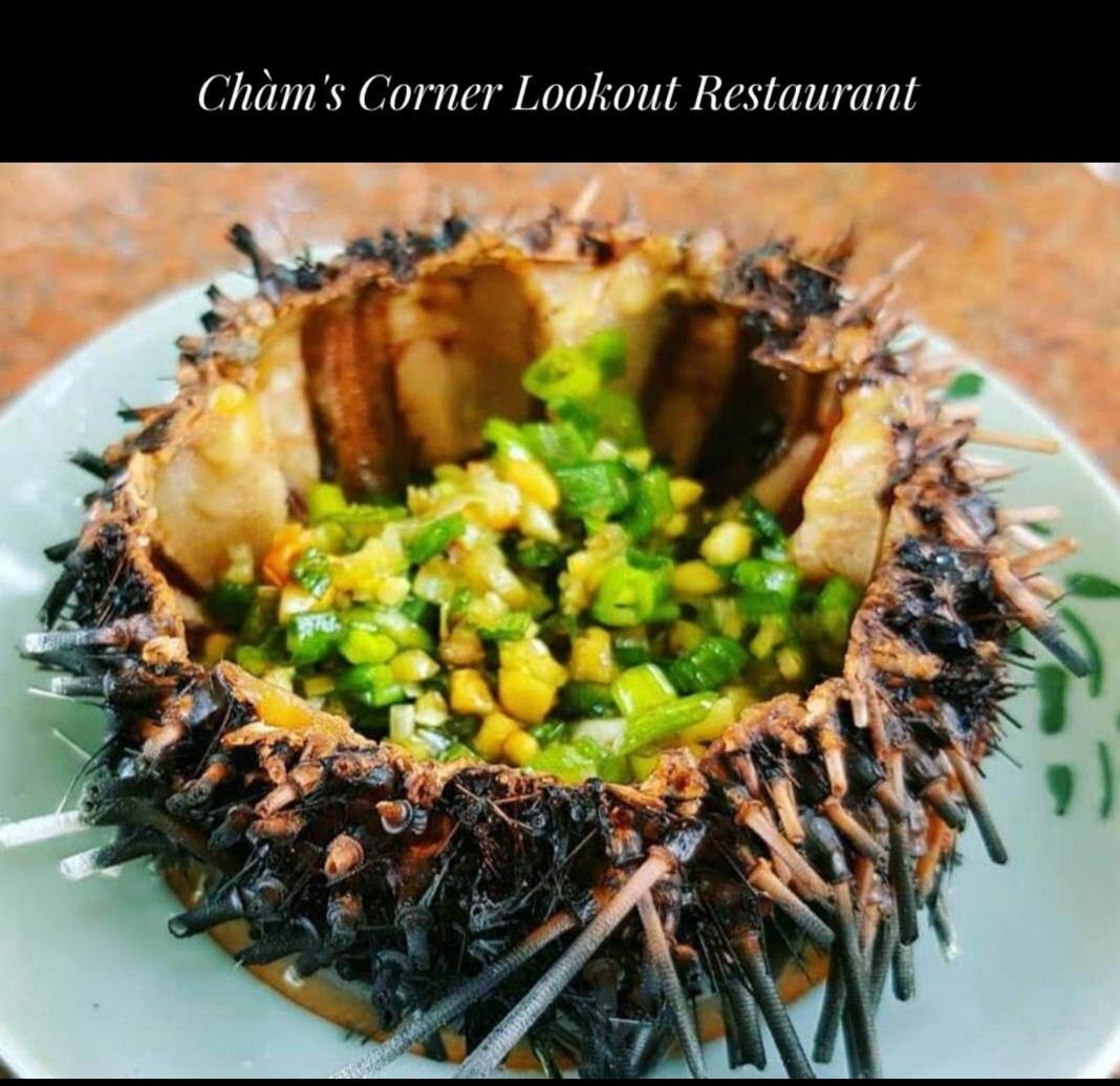 Cham'S Corner Lookout Homestay & Restaurant Tân Hiệ Exteriér fotografie